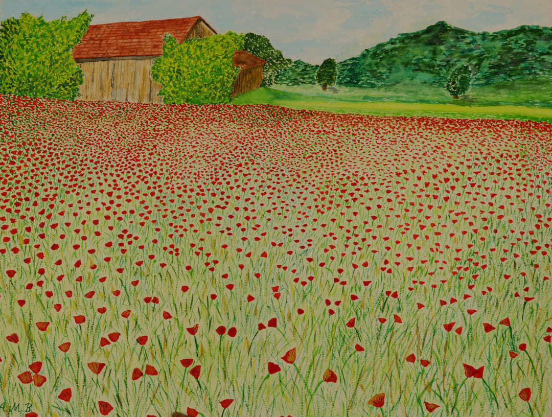 Heimat Barfuß über die Mohnblumenwiese
