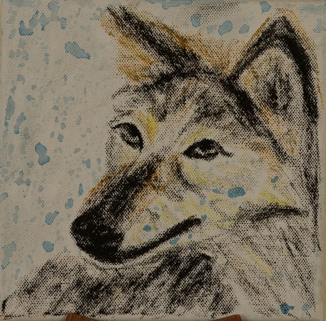 Wolf Die Kraft des Wolfes